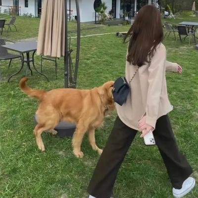 缘来是游戏